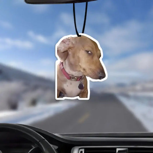 Side Eye Dog Car Air Freshener